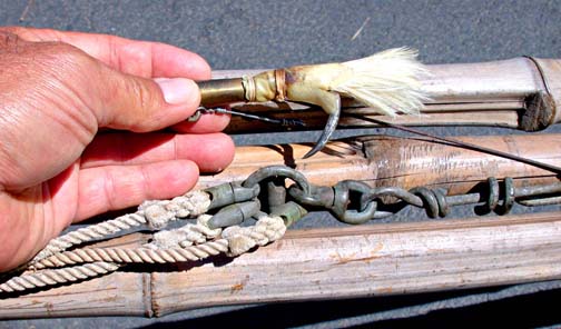 Mexican Tuna Pick Photo