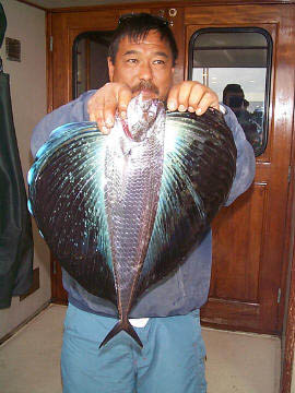 Mexico Fishing Photo 3