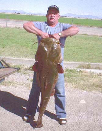 record flathead catfish