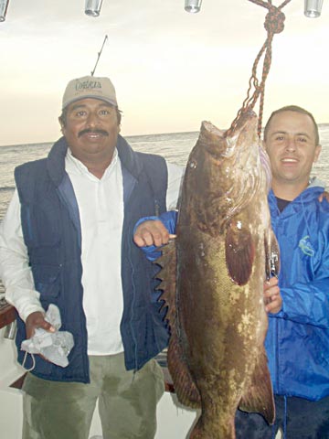 San Carlos Sportfishing Photo 1