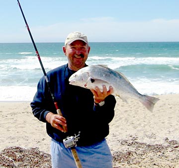 World Record Spotfin Croaker  Coastal Fishing Forums: AllCoast