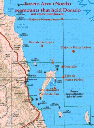 Loreto Mexico Dorado Fishing Map