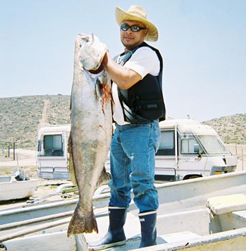 Camalu Mexico Fishing Photo 1