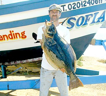 San Quintin Mexico Fishing Photo 1