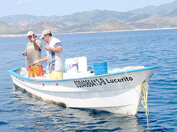 Cabo Pulmo Mexico Fishing Photo 1