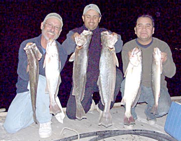 San Carlos Mexico Fishing Photo 1