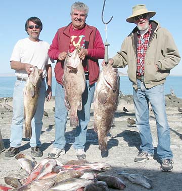 Rocky Point Mexico Fishing Photo 1