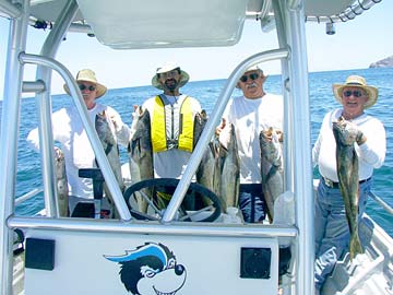 Bahia de los Angeles Mexico Fishing Photo 1