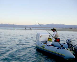 Gonzaga Bay Mexico Fish Camping Photo 4