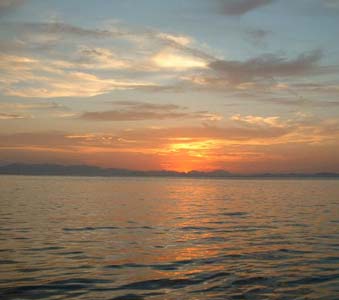 La Paz Mexico Fishing Photo 4