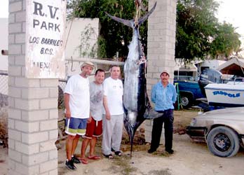 Sea of Cortez Mexico Fishing Photo 1