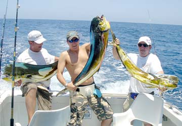 Cabo San Lucas Mexico Fishing Photo 1