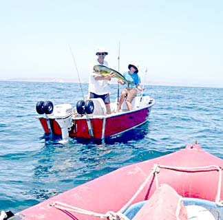 Punta Chivato Mexico Fishing Photo 1