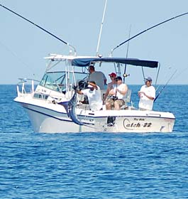 Charter fishing boat Pez Vela with marlin caught off San Carlos, Mexico.