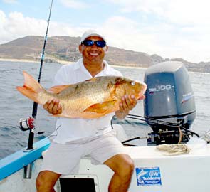 Dog snapper caught while fishing at Cabo San Lucas, Mexico.