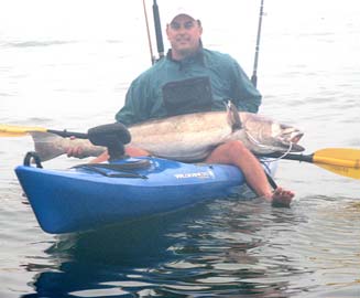 Large white seabass caught while kayak fishing at San Quintin, Mexico. #2
