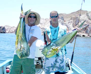 Two dorado caught north of Isla San Marcos, Mexico.