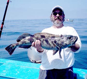 Lingcod caught while fishing at Castro's Camp, Erendira, Mexico.