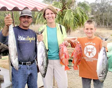 Bonito and red rockcod caught while panga fishing at Ensenada, Mexico.
