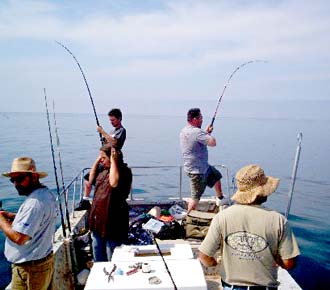 San Quintin Mexico White Seabass Fishing Photo 2
