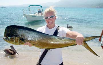 La Paz Mexico Dorado Fishing Photo 1