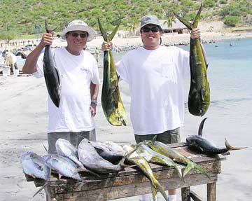 La Paz Mexico Dorado and Tuna Fishing Photo 1