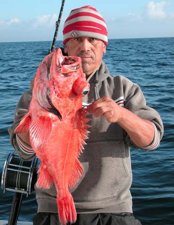 Mexico Blackgill Rockfish Photo 1