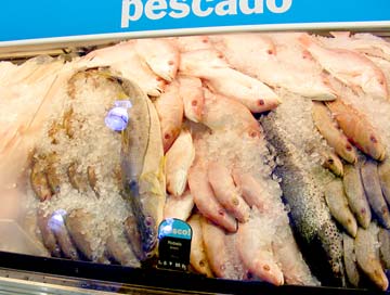 Mainland Mexico Fish Market Photo 1
