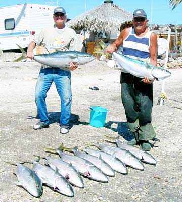 San Lucas Cove Mexico Yellowtail Fishing Photo 1