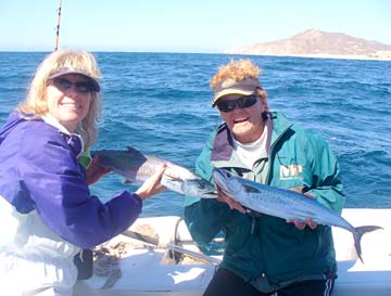 Cabo San Lucas Mexico Panga Fishing Photo 1