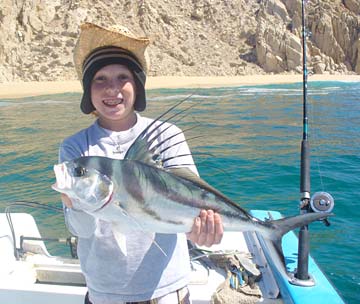 Cabo San Lucas Mexico Roosterfish Photo 1