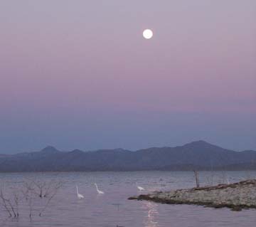 Lake Obregon Mexico Moonrise Photo 1