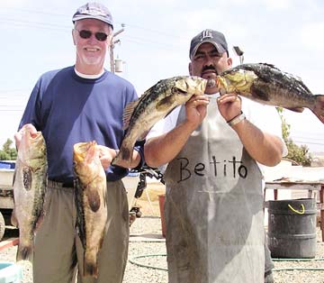 Ensenada Mexico Calico Bass Panga Fishing Photo 1