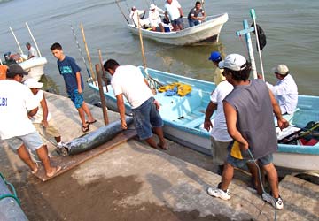 Tecolutla Mexico Tarpon Fishing Tournament Photo 2