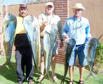 Loreto Mexico Spring Dorado Fishing Photo 1