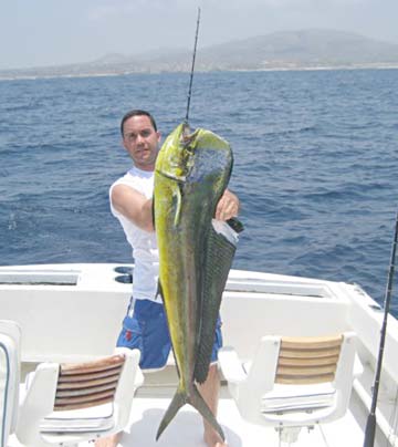 Cabo San Lucas, Mexico, dorado caught by sportfishing boat Cabo Magic.