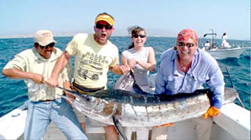 Striped marlin release at Cabo San Lucas, Mexico.