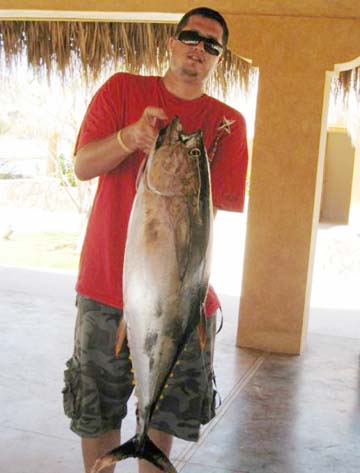 Yellowfin tuna caught at San Jose del Cabo, Baja Sur, Mexico.