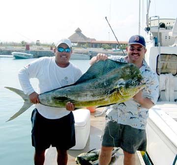 Dorado caught during fishing at Cancun, Mexico.