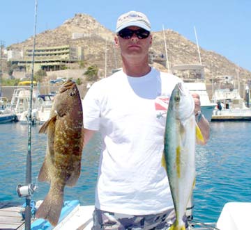 Cabrilla and yellowtail caught at Cabo San Lucas, Mexico.