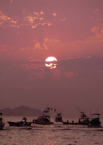 Morning scene, sportfishing boats at Cabo San Lucas, Mexico.