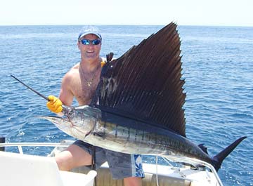 Sailfish release during fishing at East Cape, Mexico.