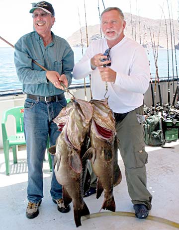 Two grouper caught in the Sea of Cortez, Mexico.