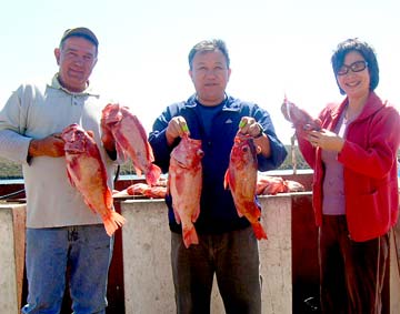 Anglers with catch at San Quintin, Mexico.