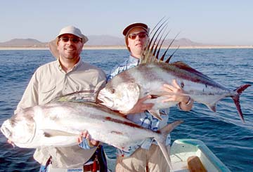 Two large roosterfish caught at La Paz, Mexico.