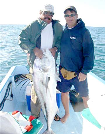Roosterfish caught during fishing at Los Cabos, Mexico.