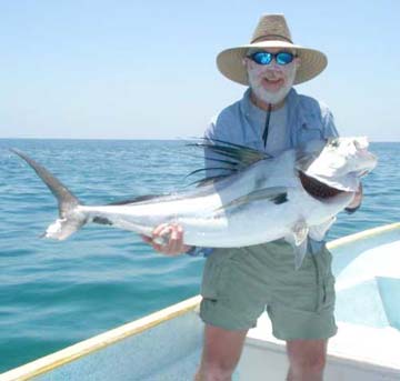 Roosterfish at La Paz, Mexico.