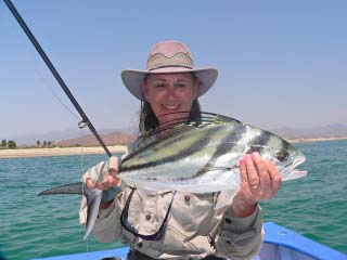 Fly fishing for roosterfish at East Cape, Mexico.