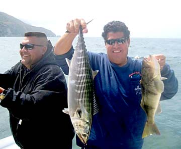 Baja coastal fishing catch of bonito and sandbass, Mexico.