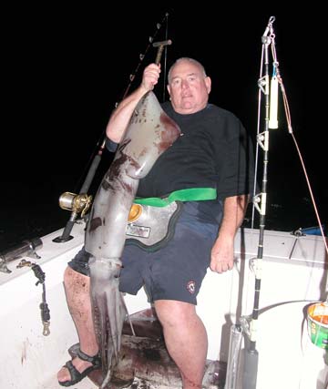 Humboldt giant squid caught during night fishing at Ensenada, Mexico.